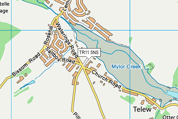 TR11 5NS map - OS VectorMap District (Ordnance Survey)