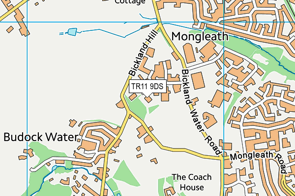 TR11 9DS map - OS VectorMap District (Ordnance Survey)