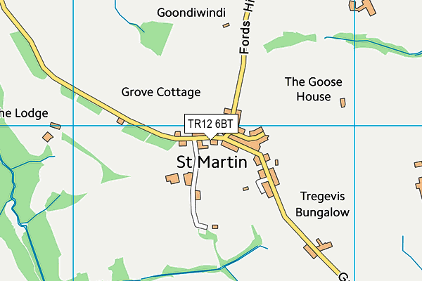 St Martin-in-meneage Primary School (Closed) map (TR12 6BT) - OS VectorMap District (Ordnance Survey)