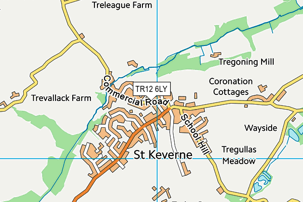 TR12 6LY map - OS VectorMap District (Ordnance Survey)