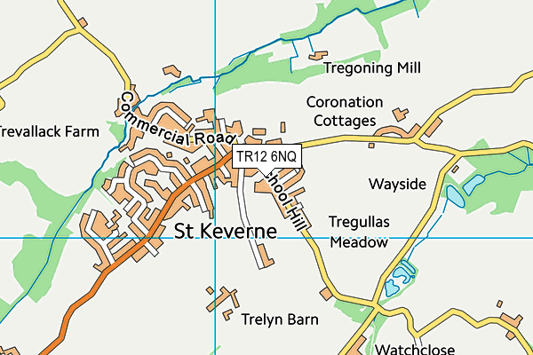 St Keverne Playing Fields map (TR12 6NQ) - OS VectorMap District (Ordnance Survey)