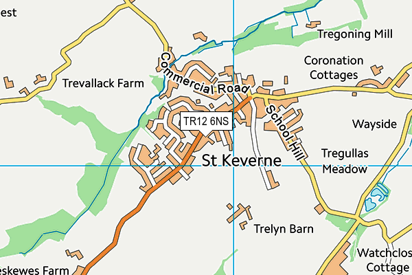 TR12 6NS map - OS VectorMap District (Ordnance Survey)