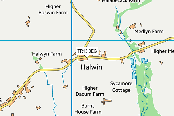 Halwin School map (TR13 0EG) - OS VectorMap District (Ordnance Survey)