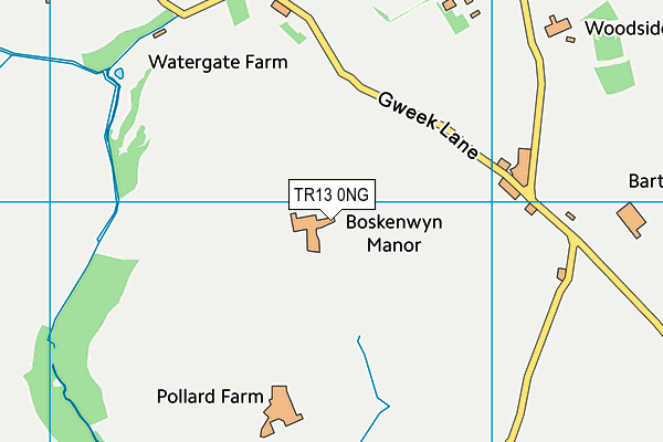 Boskenwyn Community Primary School map (TR13 0NG) - OS VectorMap District (Ordnance Survey)
