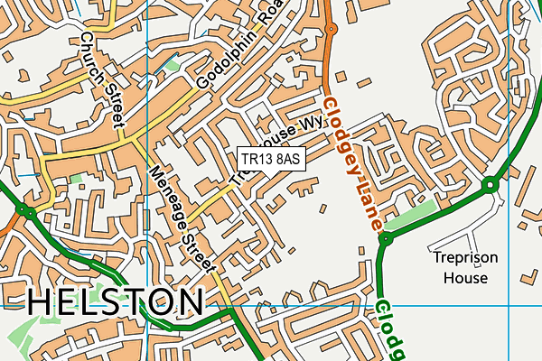 TR13 8AS map - OS VectorMap District (Ordnance Survey)