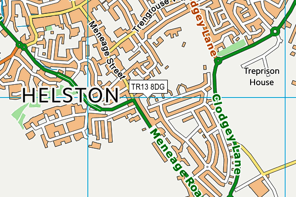 TR13 8DG map - OS VectorMap District (Ordnance Survey)