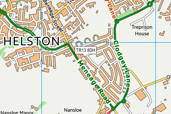 TR13 8DH map - OS VectorMap District (Ordnance Survey)