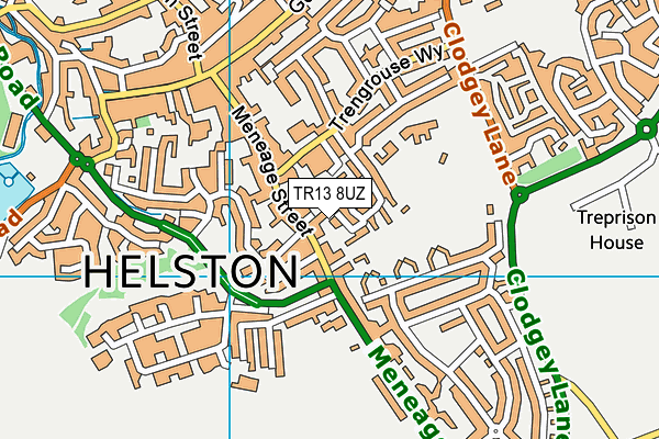 TR13 8UZ map - OS VectorMap District (Ordnance Survey)