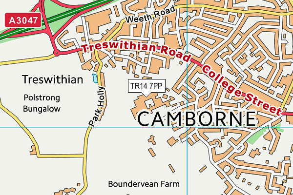 Camborne Science And International Academy map (TR14 7PP) - OS VectorMap District (Ordnance Survey)