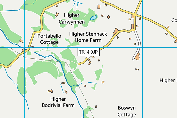 TR14 9JP map - OS VectorMap District (Ordnance Survey)