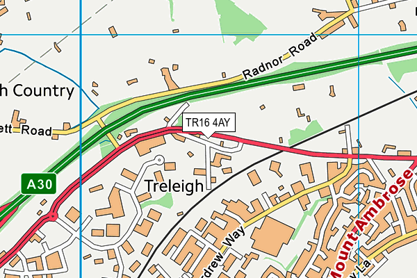 TR16 4AY map - OS VectorMap District (Ordnance Survey)