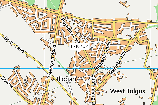 TR16 4DP map - OS VectorMap District (Ordnance Survey)