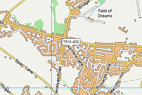 TR16 4DS map - OS VectorMap District (Ordnance Survey)