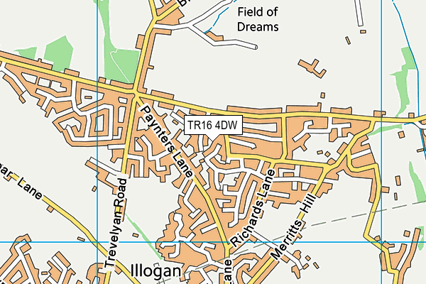 TR16 4DW map - OS VectorMap District (Ordnance Survey)