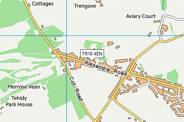 TR16 4EN map - OS VectorMap District (Ordnance Survey)