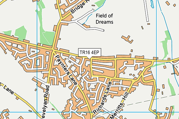 TR16 4EP map - OS VectorMap District (Ordnance Survey)
