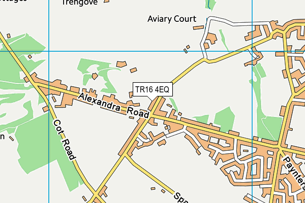 TR16 4EQ map - OS VectorMap District (Ordnance Survey)
