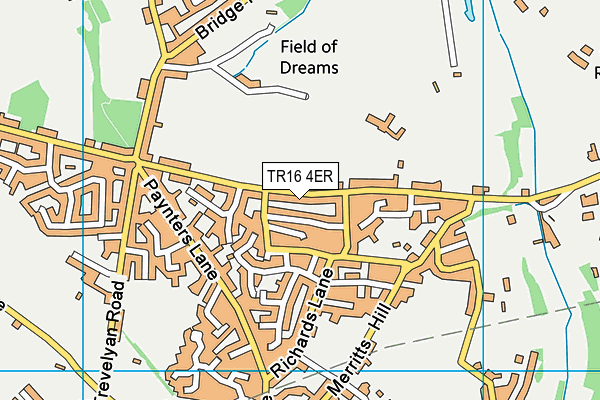 TR16 4ER map - OS VectorMap District (Ordnance Survey)