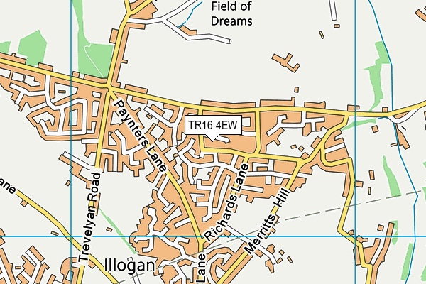 TR16 4EW map - OS VectorMap District (Ordnance Survey)