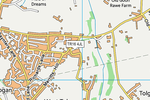 TR16 4JL map - OS VectorMap District (Ordnance Survey)