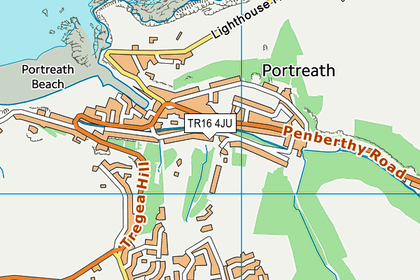 TR16 4JU map - OS VectorMap District (Ordnance Survey)