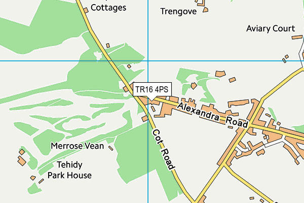 TR16 4PS map - OS VectorMap District (Ordnance Survey)