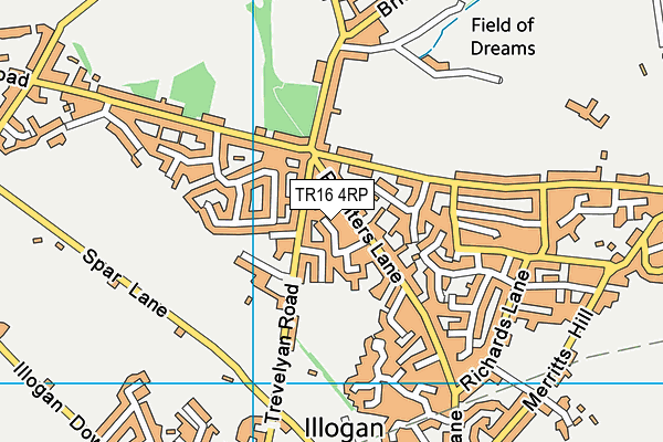 TR16 4RP map - OS VectorMap District (Ordnance Survey)