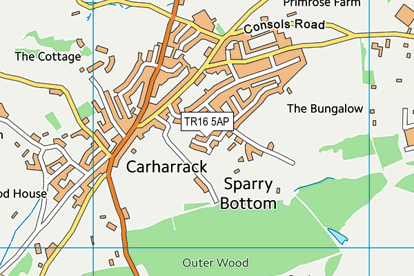 TR16 5AP map - OS VectorMap District (Ordnance Survey)