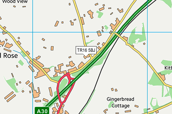 TR16 5BJ map - OS VectorMap District (Ordnance Survey)