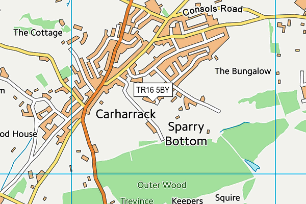 TR16 5BY map - OS VectorMap District (Ordnance Survey)