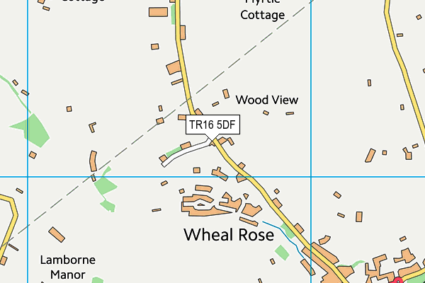 TR16 5DF map - OS VectorMap District (Ordnance Survey)