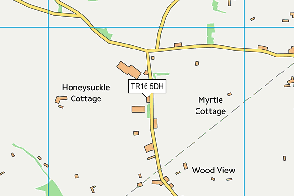 TR16 5DH map - OS VectorMap District (Ordnance Survey)