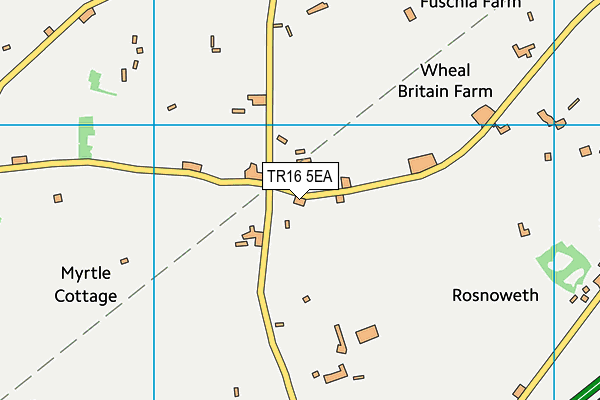TR16 5EA map - OS VectorMap District (Ordnance Survey)