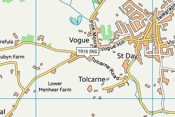TR16 5NS map - OS VectorMap District (Ordnance Survey)