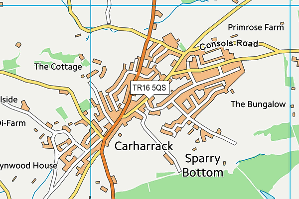 TR16 5QS map - OS VectorMap District (Ordnance Survey)