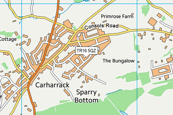 TR16 5QZ map - OS VectorMap District (Ordnance Survey)