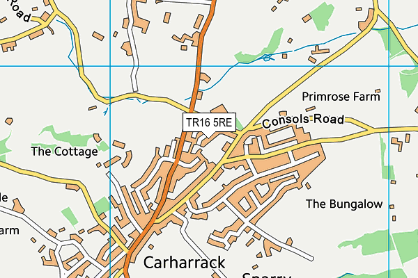 TR16 5RE map - OS VectorMap District (Ordnance Survey)