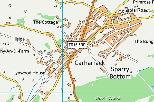TR16 5RP map - OS VectorMap District (Ordnance Survey)