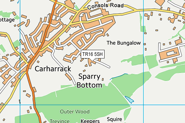 TR16 5SH map - OS VectorMap District (Ordnance Survey)