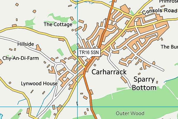 TR16 5SN map - OS VectorMap District (Ordnance Survey)