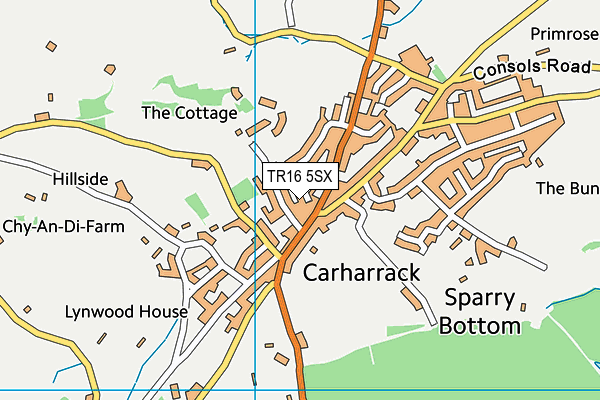 TR16 5SX map - OS VectorMap District (Ordnance Survey)