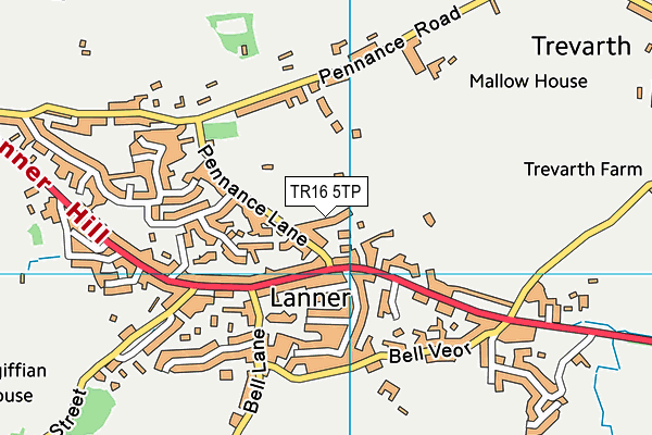 TR16 5TP map - OS VectorMap District (Ordnance Survey)