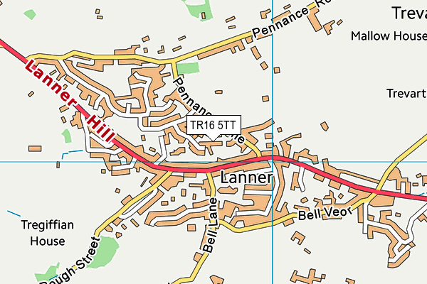 TR16 5TT map - OS VectorMap District (Ordnance Survey)
