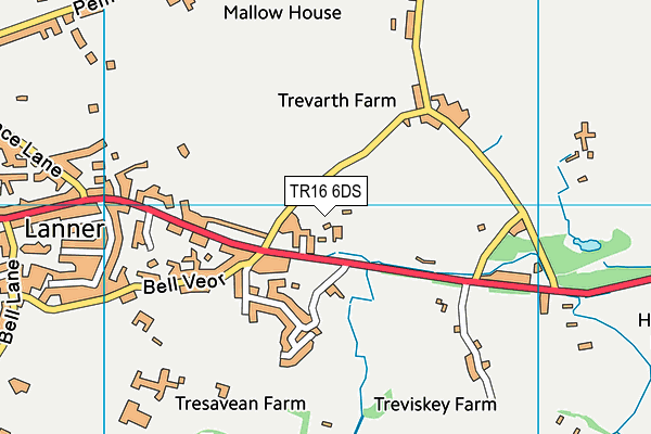 TR16 6DS map - OS VectorMap District (Ordnance Survey)