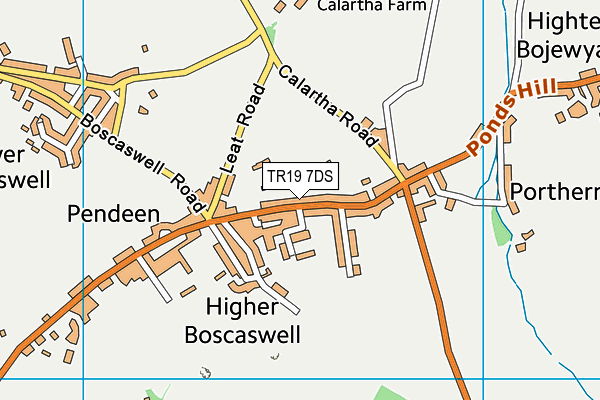 TR19 7DS map - OS VectorMap District (Ordnance Survey)