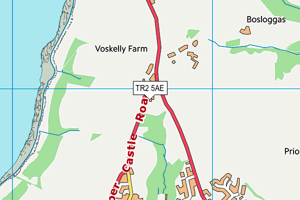 TR2 5AE map - OS VectorMap District (Ordnance Survey)