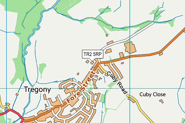 Tregony Sports Centre map (TR2 5RP) - OS VectorMap District (Ordnance Survey)