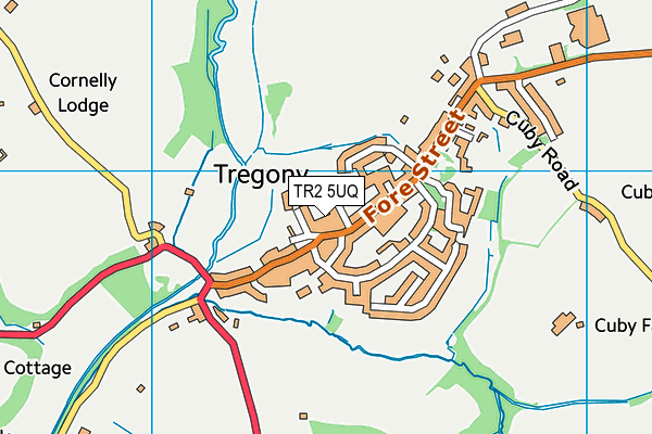 TR2 5UQ map - OS VectorMap District (Ordnance Survey)