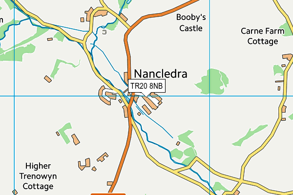 Nancledra Primary School map (TR20 8NB) - OS VectorMap District (Ordnance Survey)