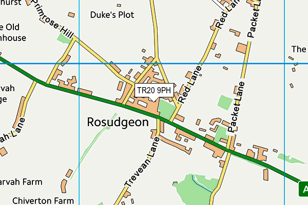 TR20 9PH map - OS VectorMap District (Ordnance Survey)